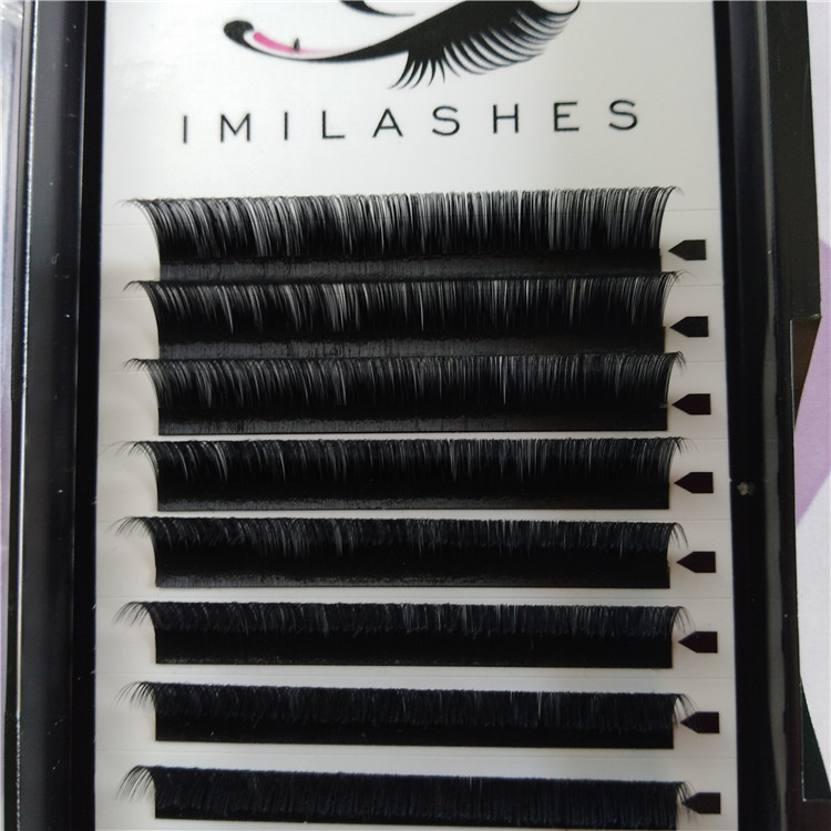 individual lashes.jpg